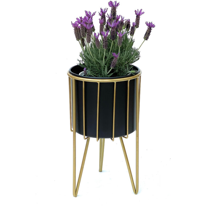 Ensemble de 2 tables pour fleurs DanDiBo avec pot en métal doré et noir -  Collection 96039 