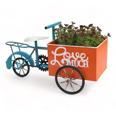 DanDiBo Bicyclette à fleurs pour jardin Métal Debout Bicyclette Bleu Orange 96530 Bicyclette à plantes Bicyclette de décoration Support à fleurs (1/5)