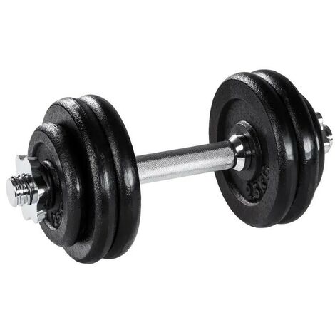 1 haltère Musculation 25 kg. 8 disques, pour une Musculation Efficace