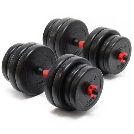 2 haltères Musculation 30 kg. 16 disques, pour une Musculation Efficace (1/5)