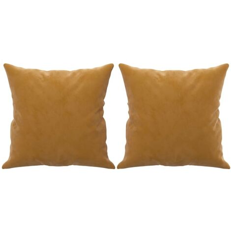 2 Coussins décoratifs Marron 40 x 40 cm En Velours. Idéal Salon, Sofa et Canapé (1/5)