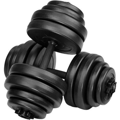 2 haltères Musculation 15 kg Chaque . 8 disques, pour une Musculation Efficace (1/5)
