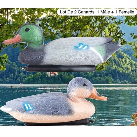 Lot De 2 Décorations De Bassin, 1 Màle + 1 Femelle Canard, Artificiel (1/5)