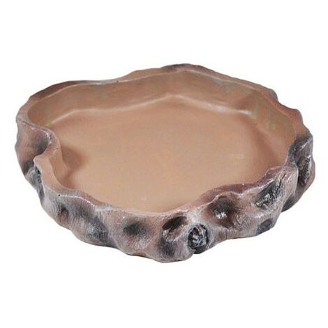 Mangeoire large pour terrarium, reptiles et lézards (1/2)