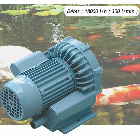 Pompe à Air Vortex Turbine 18000 l/h Pour Bassins De Jardin, Hydroponie