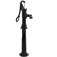 Pompe à eau de jardin Décorée et sculptée : Noire avec support en fonte