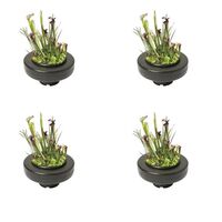 4 Paniers flottants 22 cm de diamètre pour plantes de bassins de jardin et étangs