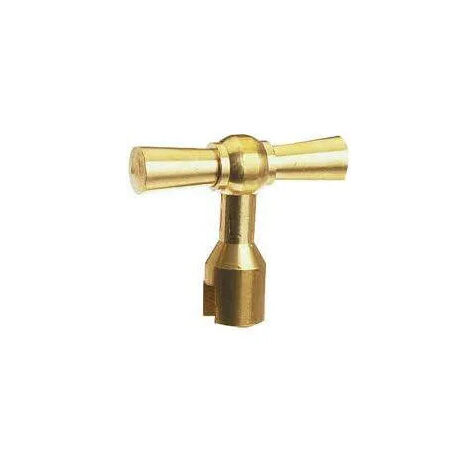 Llave sólo para la tapa de la cabeza con ranura de 4 mm