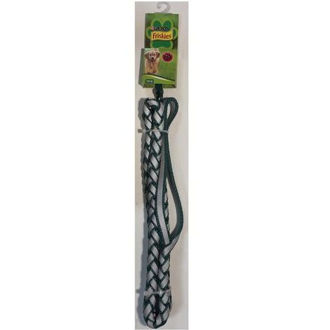 Laisse 120cm Vert Réfléchissante en nylon - Friskies Purina (1/2)