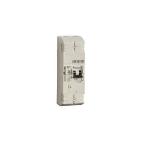 General Electric – Disjoncteur bipolaire 30-60A – Protection 500mA – Courbe de déclenchement instantanée – Bornes pivotantes pour câblage simplifié
