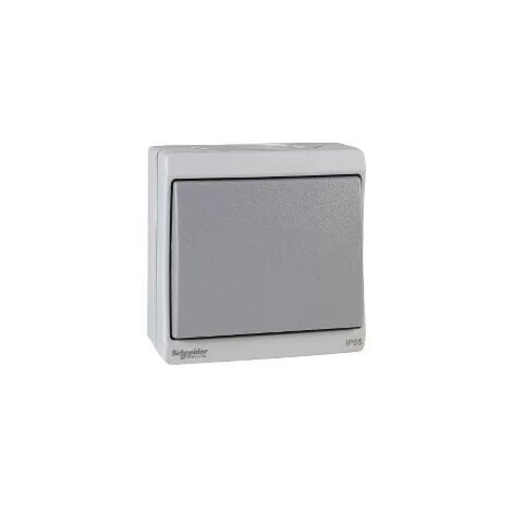 Schneider ENN35026 - Mureva - bouton-poussoir - gris - en saillie - IK07 IP55