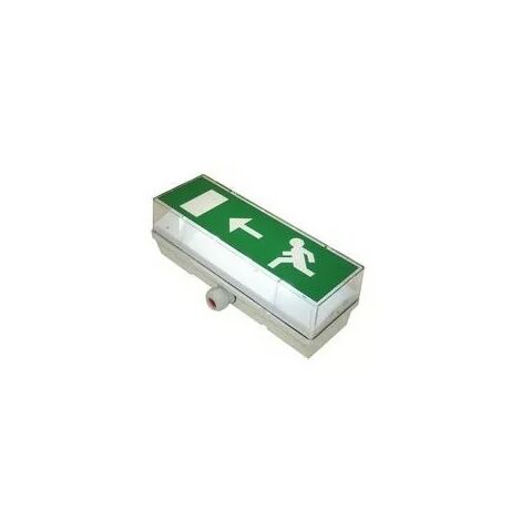 Luminox Lum22119 Bloc de secours LSC EATON PLANETE 2LEDs 1.6w IP66 Ik10