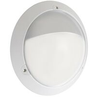 Securlite 10750400 Hublot LED VOILA ACCESS ASYM Blanc2922lm 4000K Diamètre : 340mm