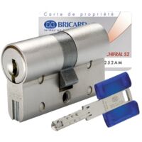 Bricard – Cylindre de serrure européen double entrée 30x70mm – 3 clés – Laiton nickelé – Sécurité optimale – Garantie 10 ans