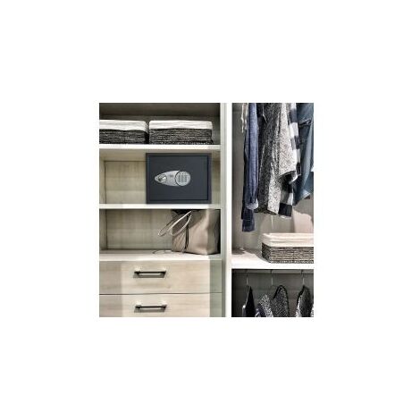 CAJA FUERTE SEGURIDAD ALPHA-30 SOBREPONER ELECTRONICA BTV