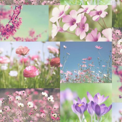 Holden Decor April Wallpaper Floral Flower Photographic Collage Heather Pink (1/4)