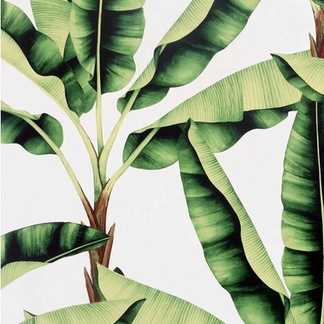 Musa Green Wallpaper Arthouse Modern Tropical Palm Jungle White (1/3)