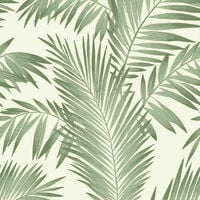 Arthouse Quality Tropical Palm Tree Leaves Green Jungle Nature Wallpaper 906802