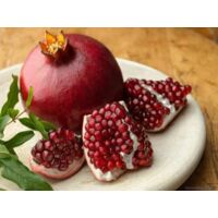Melograno da frutto "Punica granatum Wonderful" pianta in vaso h. 180/200 cm