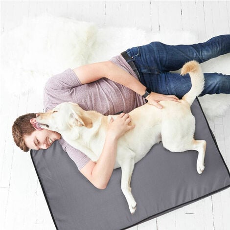 XXL Orthopädisches Hundebett Gelenkschonend Hunde Kissen Matratze Schlafplatz für schwere Hunderassen bis 55kg - Grau 120x75x10cm