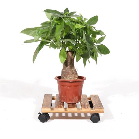 Gecheer Pflanzenroller 2er Set - Blumenroller Mit Bremse 28cm Hartglas