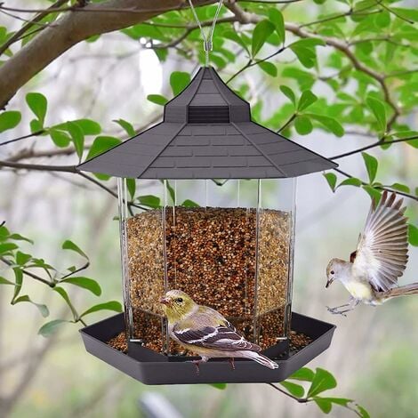mangeoires à oiseaux livraison gratuite Mangeoire pour oiseaux Bains 