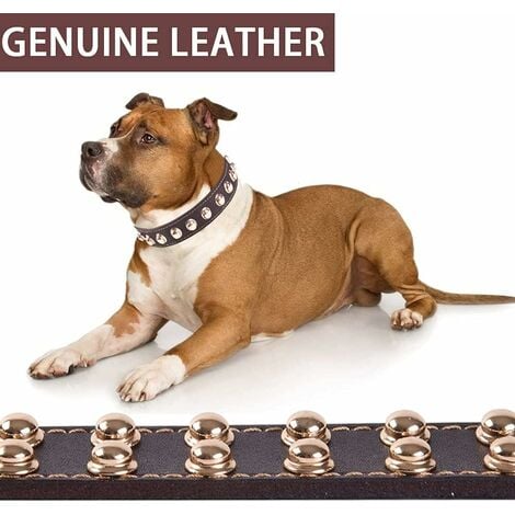 Extra large best sale breed dog collars