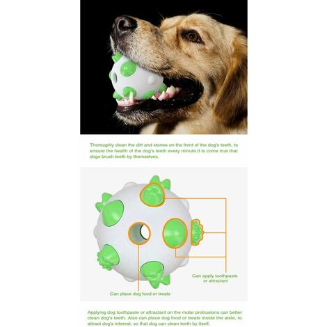 Round squeaky dog discount toys