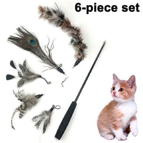 Pet Fit For Life Worms Teaser and Exerciser for Cat and Kitten - Cat Toy  Interactive Cat