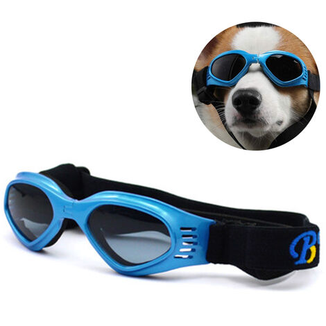 Dog swimming hot sale goggles