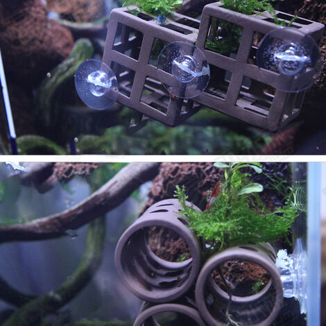 Fish tank shop suction cups