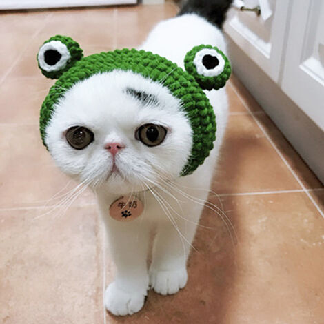 Cat Hat,Pet Hat, Lovely Cosplay Hat for Party,Cute Frog Cap Funny