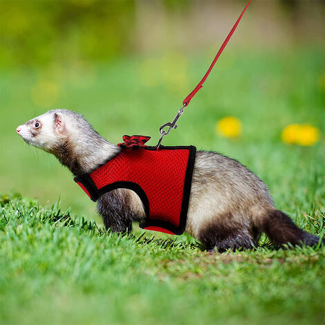 Ferret collars with outlet bells