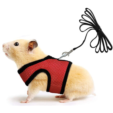 Hamster harness outlet and leash