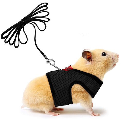 Chinchilla harness clearance