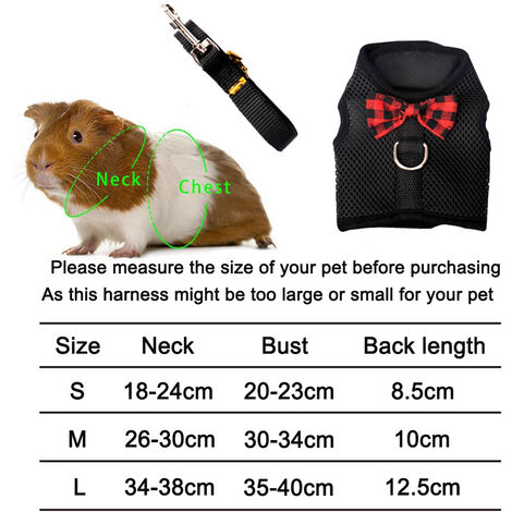 Leash for guinea deals pigs