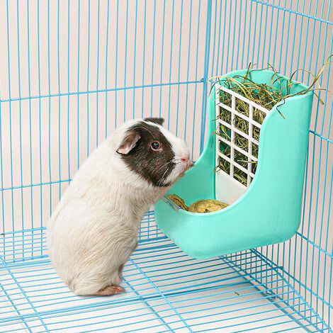 Feeder guinea clearance pigs