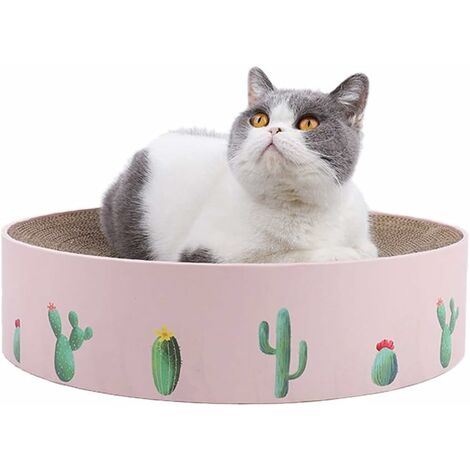 Round cat outlet toy