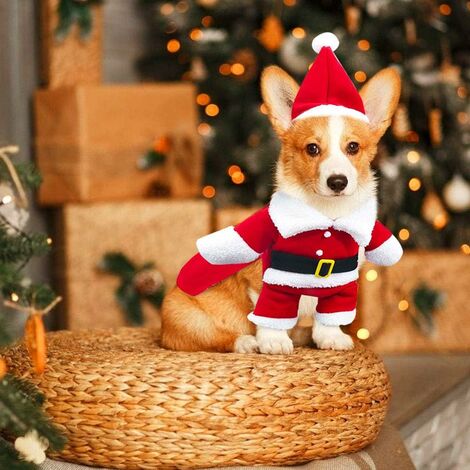 christmas tinsel corgi