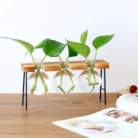 Glass Vase Light Bulb Vase with Wooden ...