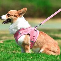 Dog Harness with Leash for Dogs, Soft Mesh Chest Harness for Medium and Small Dogs / Cats, Adjustable Reflective Breathable Puppy Harness Vest Harness, pink, XS