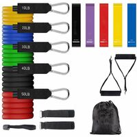 Resistance Band Set (16 Piece), Exercise Bands with Door Anchor, Portable, Stackable up to 150 lbs, Ankle Leg Straps for Resistance Training, Physical Therapy, Home Workouts