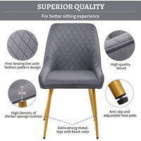 Dining Chair Set of 2 with Golden Legs Grey Velvet with Backrest & Steel Legs Chair（2pcs/grey velvet/golden legs）