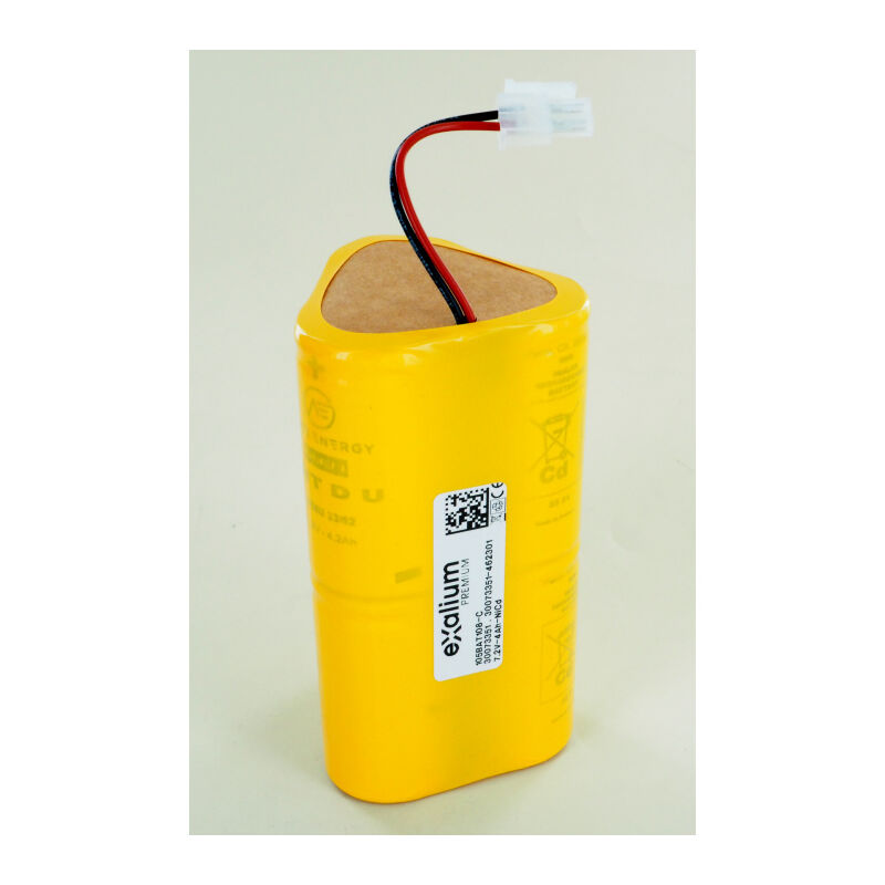 Batterie NiCd 2.4V 800mAh Pour AEES ASTUS LED - Exalium Premium - Neuf Sous Blister