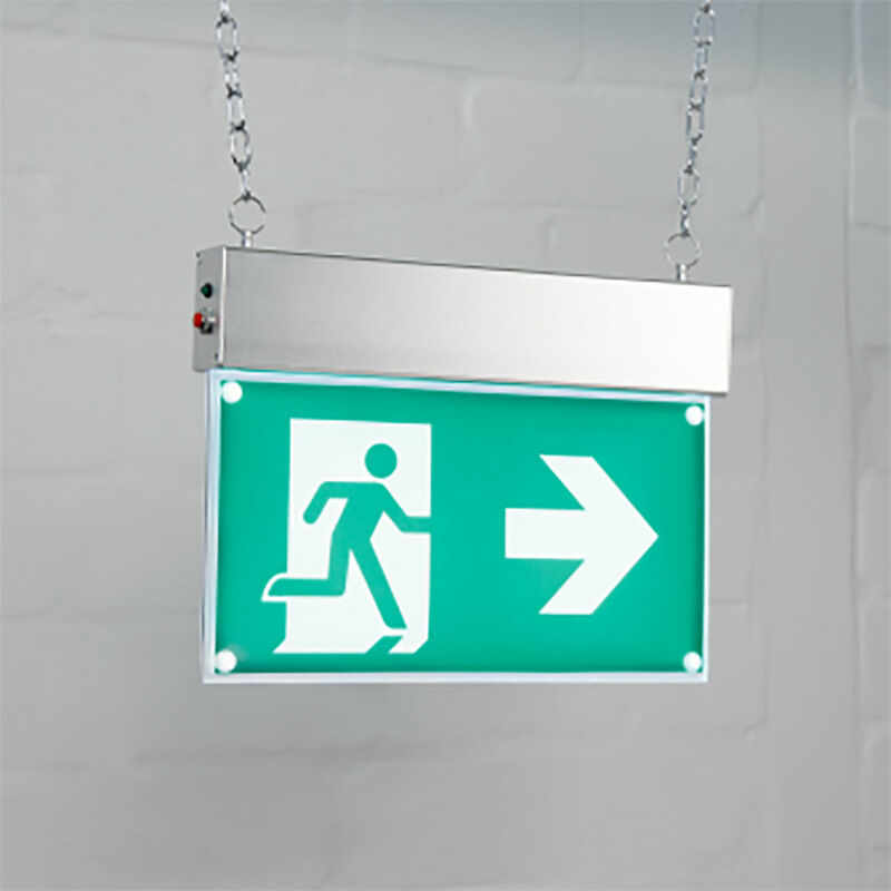 Impoveriscono è Abbastanza Tempo Metereologico Lampada Uscita Emergenza Storia Orale Artico - Foto 7