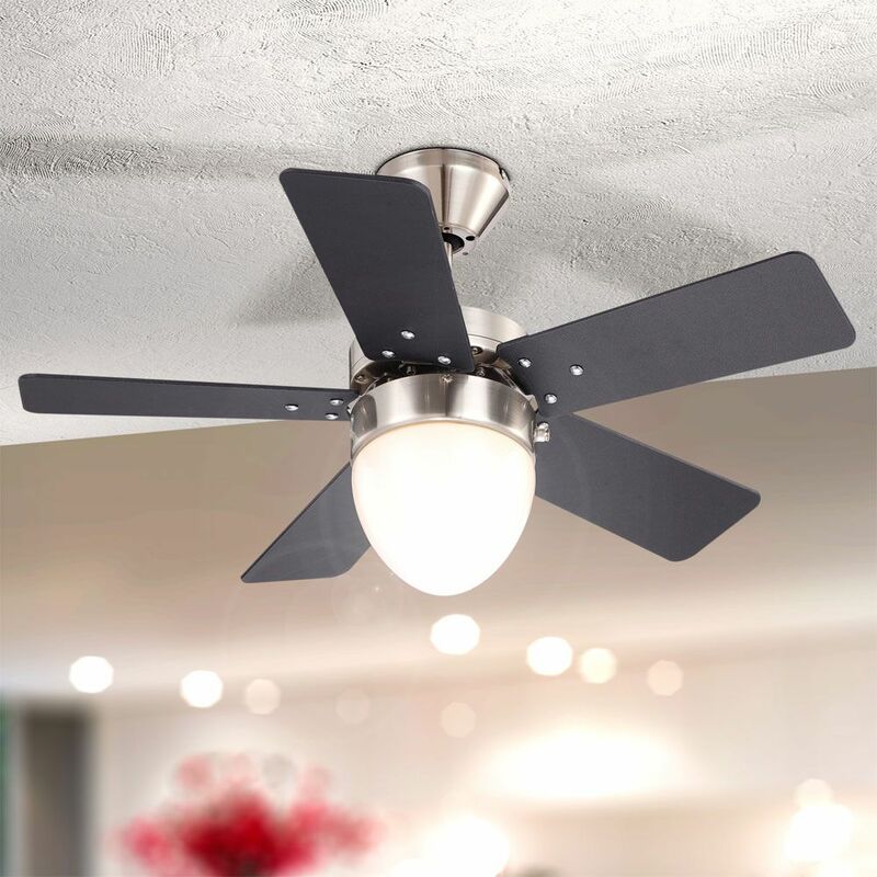 Ventilatore Soffitto con Luce e Telecomando, Plafoniera con Ventilatore  Silenzioso, Lampadario con Pale Ventilatore Fiore, Dimmerabile, Funzione  Memoria, 6 Velocità, Motore DC, Estate Inverno, Oro : :  Illuminazione