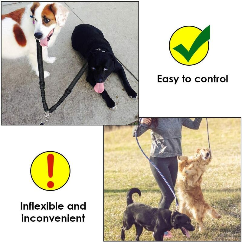 double ceinture de sécurité réglable pour animal domestique laisse double pour chien avec élastique et bande réfléchissante NIUBICLAS Double ceinture de sécurité pour chien 