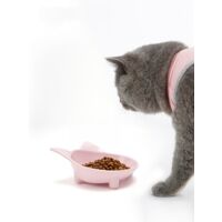 Bol pour chat, bol de nourriture pour chat, plat pour chat double D