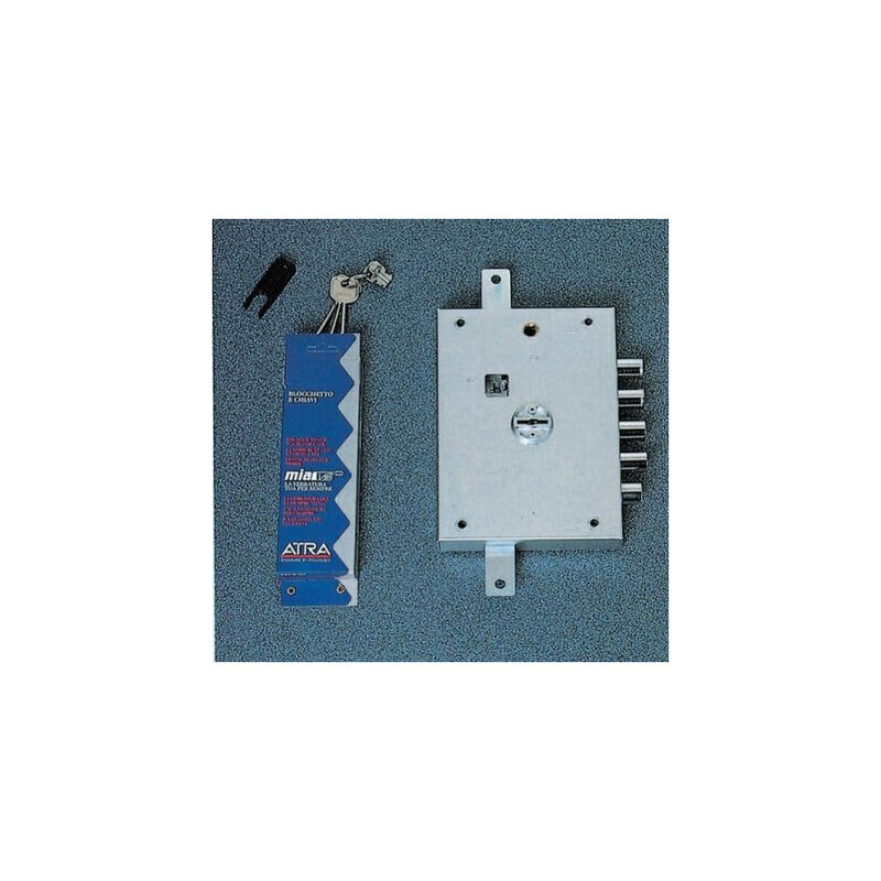 Tuya Serratura Biometrica Elegante Smart WiFi Con Blocco Rinforzato