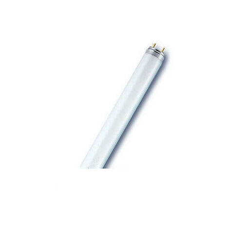LAMPADA NEON FLUOR.TE D.26 18W CM.60 LUCE FREDDA